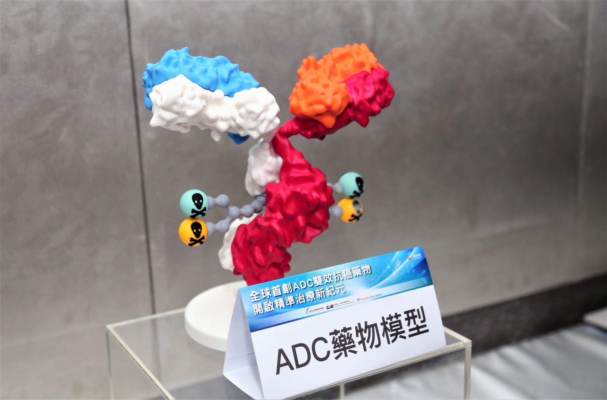 ADC藥物結構模型照片