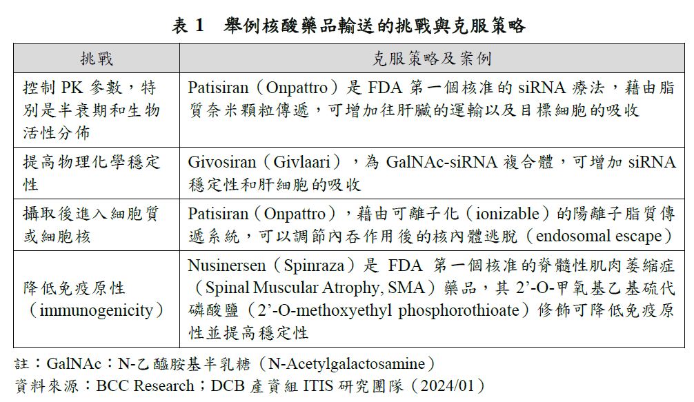 這是一張表格，標題是「表1  針對核酸藥品輸送的挑戰與克服策略概略」，表格中列出了四個挑戰及其相應的克服策略及案例。