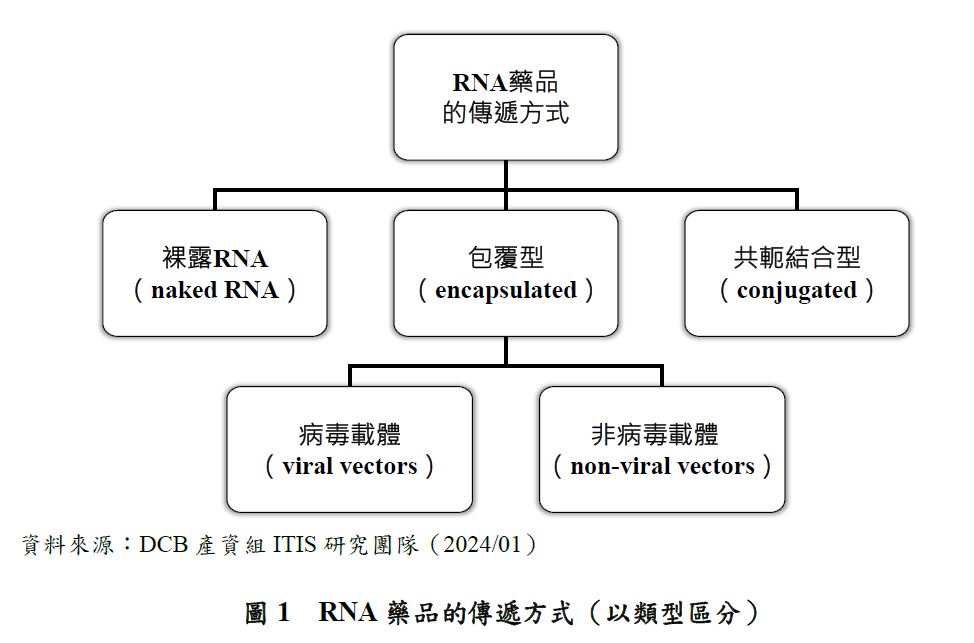 這張圖片展示了 RNA 藥品的傳遞方式，分為三種主要類型：裸露RNA (naked RNA)、包覆型 (encapsulated) 和共軛結合型 (conjugated)。包覆型又進一步分為病毒載體 (viral vectors) 和非病毒載體 (non-viral vectors)。資料來源來自 DCB 產資組 ITIS 研究團隊 (2024/01)。