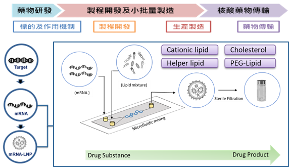 這張圖片展示了藥物研發的過程，從標的及作用機制到製程開發及小批量製造，最後到核酸藥物傳輸。
