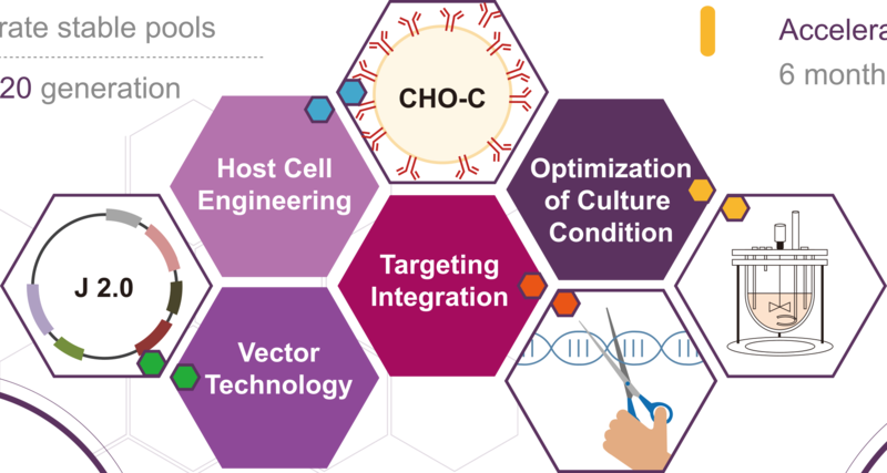 這張圖片展示了一個生物工程流程，包含多個步驟，從Host Cell Engineering開始，接著是Vector Technology，然後是Targeting Integration，再到Optimization of Culture Condition。
