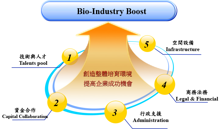 育成支援技術人才、資金合作、行政支援、商務法務、空間設備，以提高企業成功機會