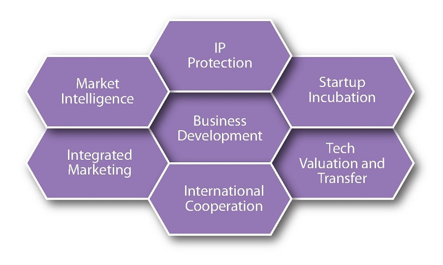  DCB's Business Services provide integrated services, including market intelligence and research, IP protection,startup incubation, talent cultivation, technology valuation and transfer, international cooperation, as well as marketing and promotion.