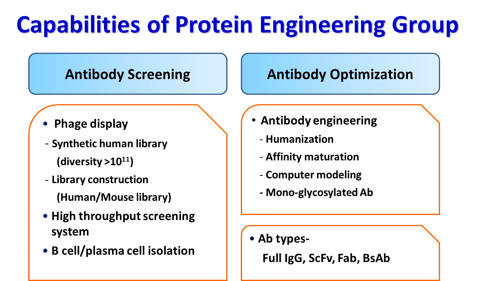蛋白基因工程可協助進行抗體篩選、最佳化等作業